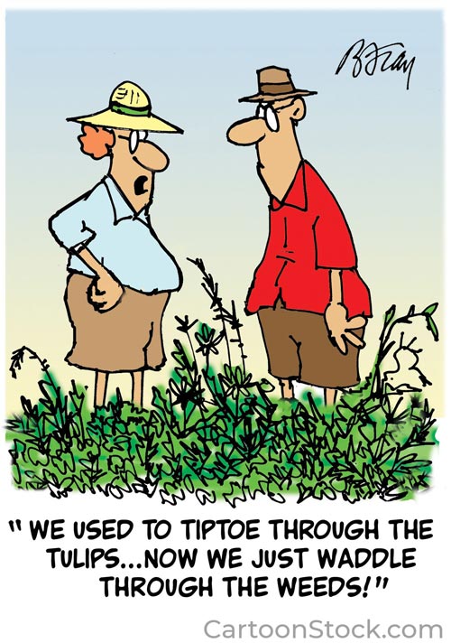 weeding cartoon