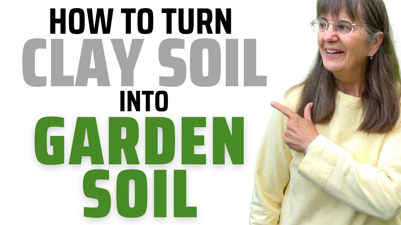 Clay soil into garden soil