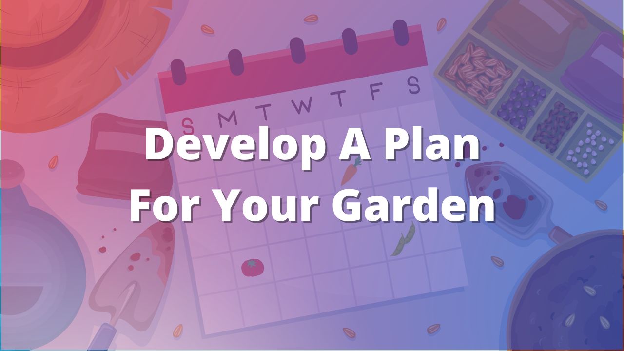 Develop A Plan For Your Garden