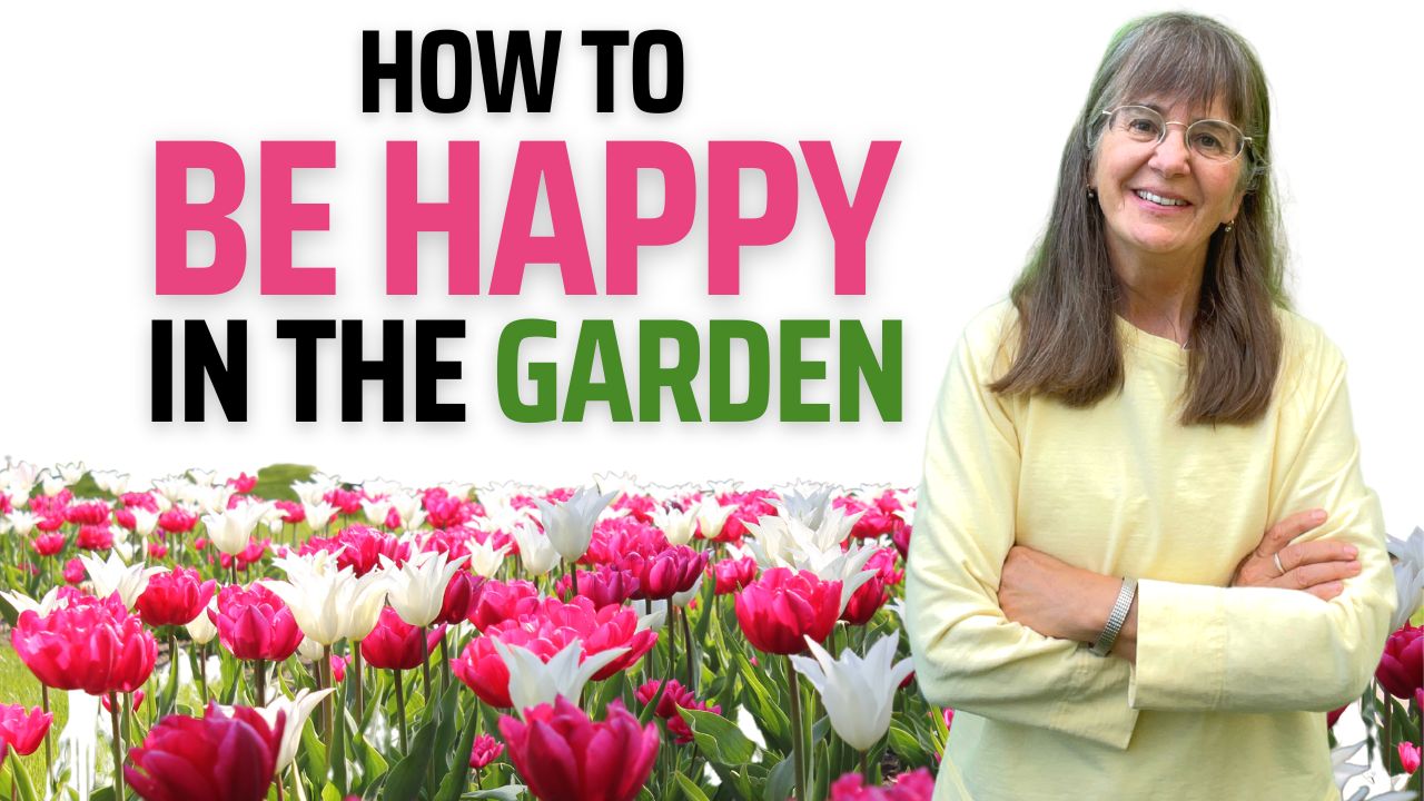 How to Be Happy Garden