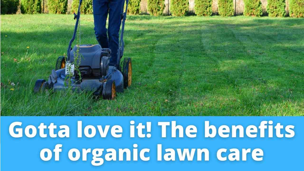 Organic lawn care 2
